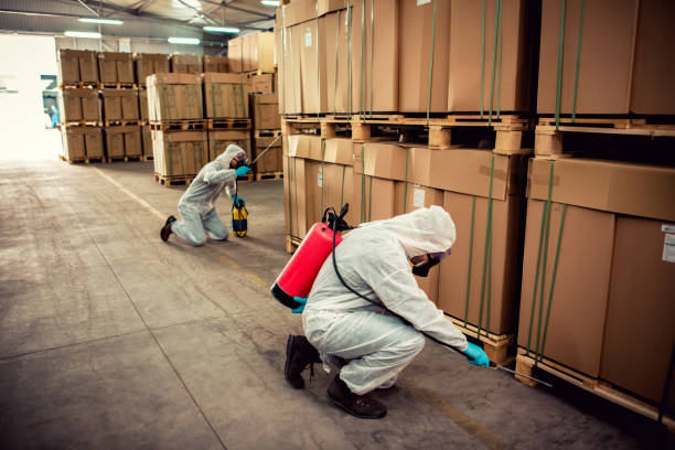 Best Termite Control Services  in Ashwaubenon, WI