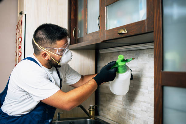 Best Affordable Pest Control Services  in Ashwaubenon, WI