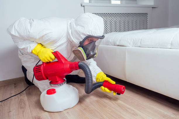 Best Pest Control Treatment  in Ashwaubenon, WI