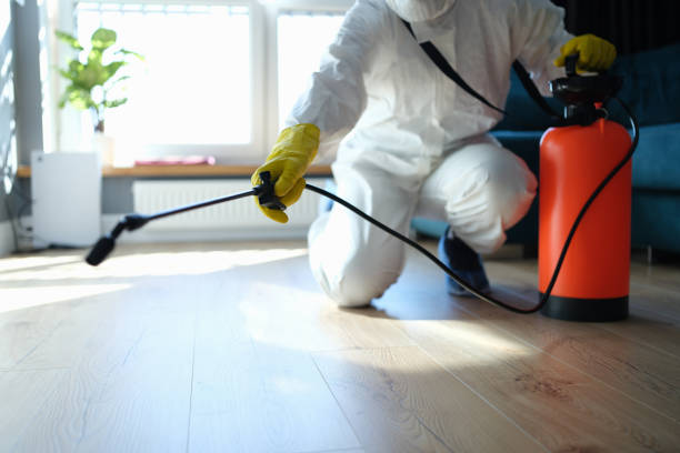 Professional Pest Control in Ashwaubenon, WI