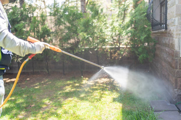 Best Wasp Removal Services  in Ashwaubenon, WI