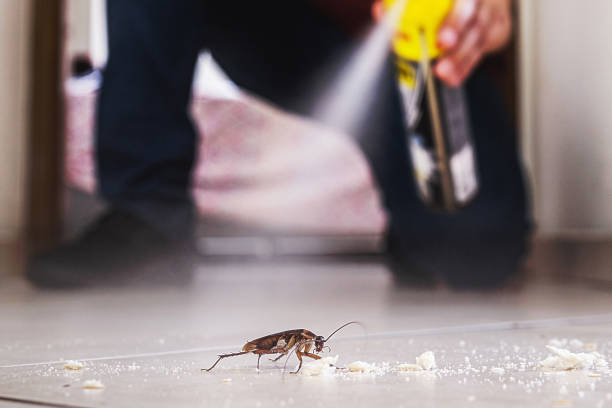 Best Insect Control  in Ashwaubenon, WI